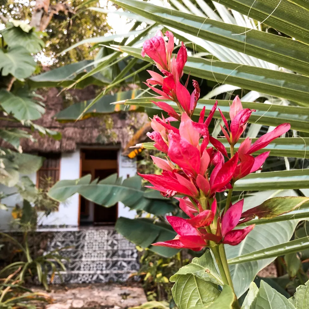 Cenote San Ignacio — Parque Ecoturístico