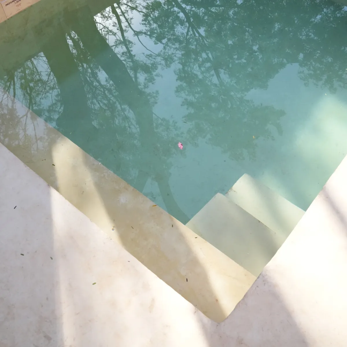 Suite — Alberca privada